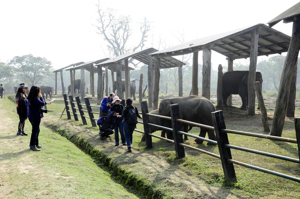 Green Park Chitwan Саураха Экстерьер фото